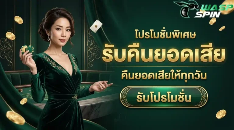 waspspin รับคืนยอดเสีย